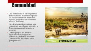 Historia de la Ecología (1).pptx