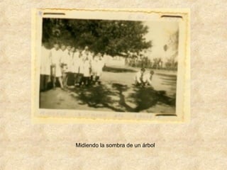 Midiendo la sombra de un árbol
 