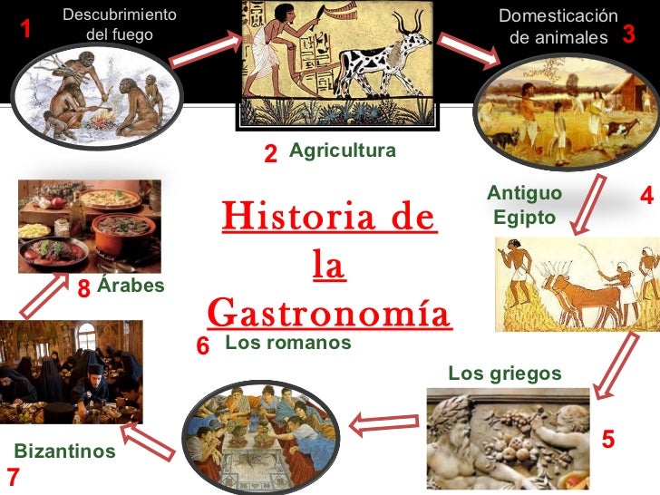 Historia de la gastronomia