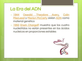 La Era del ADN
○ 1944 Oswald Theodore Avery, Colin
MacLeod y Maclyn McCarty aíslan ADN como
material genético
○ 1950 Erwin Chargaff muestra que los cuatro
nucleótidos no están presentes en los ácidos
nucleicos en proporciones estables
 
