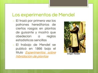 Los experimentos de Mendel
○ El trazó por primera vez los
patrones hereditarios de
ciertos rasgos en plantas
de guisante y mostró que
obedecían a reglas
estadísticas sencillas
○ El trabajo de Mendel se
publicó en 1866 bajo el
título Experimentos sobre
hibridación de plantas
 