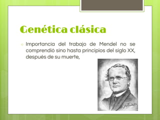 Genética clásica
○ Importancia del trabajo de Mendel no se
comprendió sino hasta principios del siglo XX,
después de su muerte,
 
