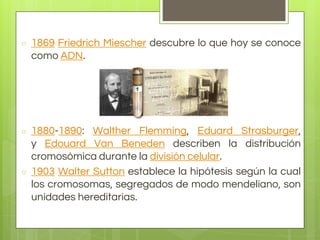 ○ 1869 Friedrich Miescher descubre lo que hoy se conoce
como ADN.
○ 1880-1890: Walther Flemming, Eduard Strasburger,
y Edouard Van Beneden describen la distribución
cromosómica durante la división celular.
○ 1903 Walter Sutton establece la hipótesis según la cual
los cromosomas, segregados de modo mendeliano, son
unidades hereditarias.
 