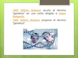 ○ 1905 William Bateson acuña el término
“genética” en una carta dirigida a Adam
Sedgwick.
○ 1906 William Bateson propone el término
“genética”.
 