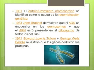 ○ 1931 El entrecruzamiento cromosómico se
identifica como la causa de la recombinación
genética.
○ 1933 Jean Brachet demuestra que el ADN se
encuentra en los cromosomas y que
el ARN está presente en el citoplasma de
todas las células.
○ 1941 Edward Lawrie Tatum y George Wells
Beadle muestran que los genes codifican las
proteínas.
 