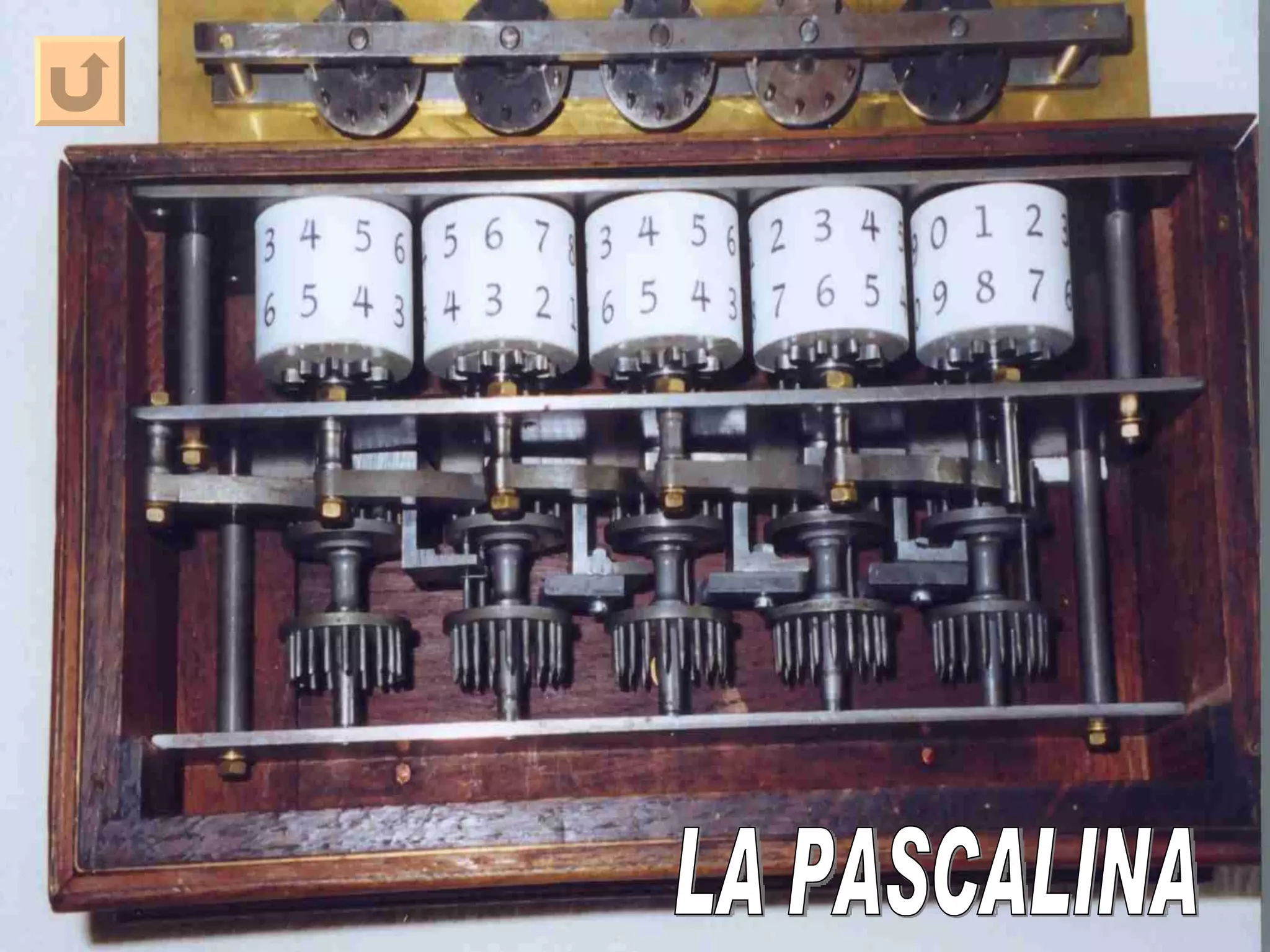 LA PASCALINA 