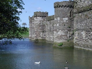 CATEDRAL GOTICA : SAINT DEMOS 