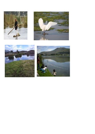 Historia de la laguna de colta