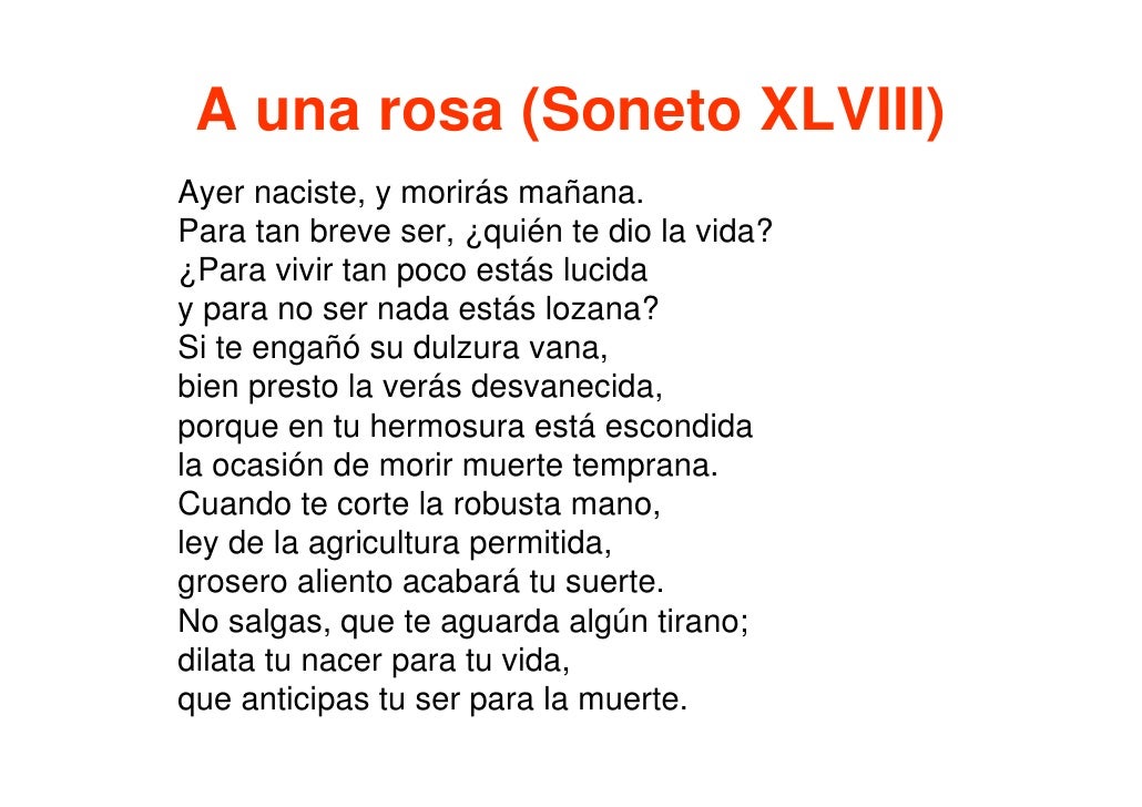 Historia de la literatura espanola