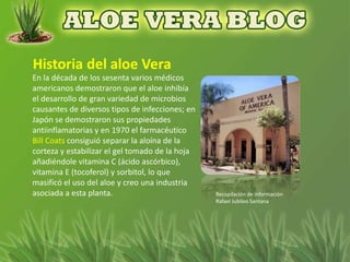 En la década de los sesenta varios médicos
americanos demostraron que el aloe inhibía
el desarrollo de gran variedad de microbios
causantes de diversos tipos de infecciones; en
Japón se demostraron sus propiedades
antiinflamatorias y en 1970 el farmacéutico
Bill Coats consiguió separar la aloína de la
corteza y estabilizar el gel tomado de la hoja
añadiéndole vitamina C (ácido ascórbico),
vitamina E (tocoferol) y sorbitol, lo que
masificó el uso del aloe y creo una industria
asociada a esta planta.                          Recopilación de información
                                                 Rafael Jubileo Santana
 