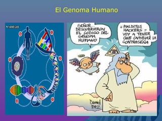 El Genoma Humano
 