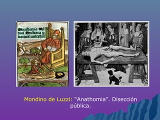 Mondino de Luzzi: “Anathomia”. Disección
pública.
 
