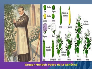 Gregor Mendel: Padre de la Genética
 