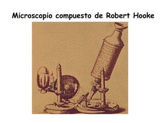 Microscopio compuesto de Robert Hooke
 