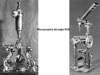 Microscopios del siglo XVIII
 