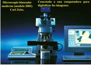 Microscopio binocular   Conectado a una computadora para
moderno (modelo 2002)   digitalizar las imagenes.
     Carl Zeiss.
 