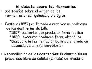 El debate sobre los fermentos
• Dos teorías sobre el origen de las
  fermentaciones: química y biológica

• Pasteur (1857) es llamado a resolver un problema
  de las destilerías de Lille
    *1857: bacterias que producen ferm. láctica
    *1860: levaduras producen ferm. alcohólica
    *Descubre la fermentación butírica y la vida en
      ausencia de aire (anaerobiosis)

• Reconciliación de las dos teorías: Buchner aísla un
  preparado libre de células (zimasa) de levadura
 