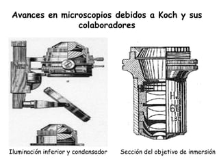 Avances en microscopios debidos a Koch y sus
               colaboradores




Iluminación inferior y condensador   Sección del objetivo de inmersión
 