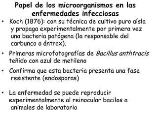 Papel de los microorganismos en las
         enfermedades infecciosas
• Koch (1876): con su técnica de cultivo puro aísla
  y propaga experimentalmente por primera vez
  una bacteria patógena (la responsable del
  carbunco o ántrax).
• Primeras microfotografías de Bacillus anthtracis
  teñido con azul de metileno
• Confirma que esta bacteria presenta una fase
  resistente (endosporas)

• La enfermedad se puede reproducir
  experimentalmente al reinocular bacilos a
   animales de laboratorio
 