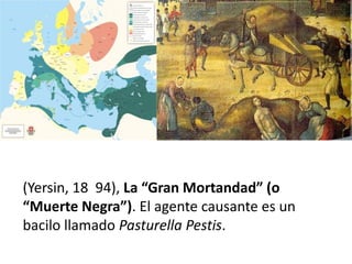 (Yersin, 18 94), La “Gran Mortandad” (o
“Muerte Negra”). El agente causante es un
bacilo llamado Pasturella Pestis.
 