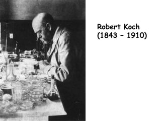 Robert Koch
(1843 – 1910)
 