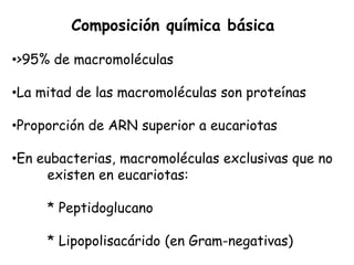 Composición química básica

•>95% de macromoléculas

•La mitad de las macromoléculas son proteínas

•Proporción de ARN superior a eucariotas

•En eubacterias, macromoléculas exclusivas que no
     existen en eucariotas:

     * Peptidoglucano

     * Lipopolisacárido (en Gram-negativas)
 