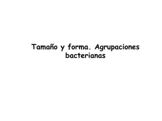 Tamaño y forma. Agrupaciones
        bacterianas
 