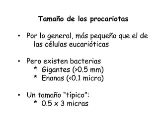 Tamaño de los procariotas

• Por lo general, más pequeño que el de
    las células eucarióticas

• Pero existen bacterias
    * Gigantes (>0.5 mm)
    * Enanas (<0.1 micra)

• Un tamaño “típico”:
   * 0.5 x 3 micras
 