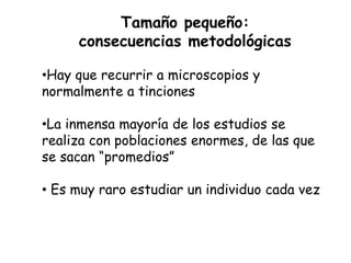 Tamaño pequeño:
     consecuencias metodológicas

•Hay que recurrir a microscopios y
normalmente a tinciones

•La inmensa mayoría de los estudios se
realiza con poblaciones enormes, de las que
se sacan “promedios”

• Es muy raro estudiar un individuo cada vez
 