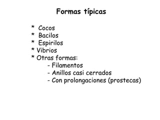 Formas típicas

* Cocos
* Bacilos
* Espirilos
* Vibrios
* Otras formas:
     - Filamentos
     - Anillos casi cerrados
     - Con prolongaciones (prostecas)
 