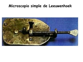 Microscopio simple de Leeuwenhoek
 