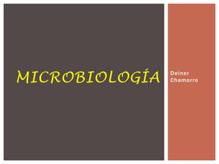 Deiner Chamorro microbiología 