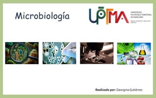 Microbiología
Realizado por: Georgina Gutiérrez
 