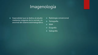 Imagenología
 Especialidad que se dedica al estudio
mediante imágenes de lo normal y lo
anormal del sistema estomatognático.
 Radiología convencional
 Tomografía.
 RNM
 Ecografía
 Sialografía
 