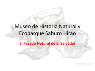 Museo de Historia Natural y
 Ecoparque Saburo Hirao
 El Pasado Natural de El Salvador
 