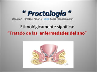 Proktos Historia de la proctologia 2013 | PPT