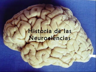 Historia de las
Neurociencias
 