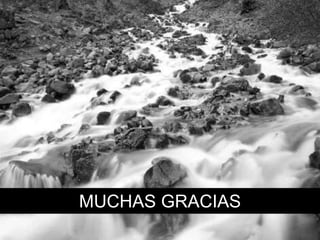 MUCHAS GRACIAS
 