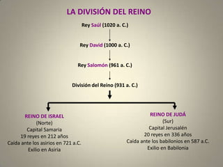 Division Rey Historia de la salvación | PPTX
