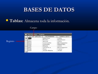 BASES DE DATOSBASES DE DATOS
 Tablas:Tablas: Almacena toda la información.Almacena toda la información.
Registro
Campo
 