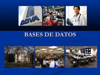 BASES DE DATOSBASES DE DATOS
 