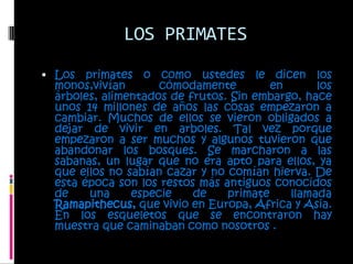 LOS PRIMATESLos primates o como ustedes le dicen los monos,vivíancómodamente en los árboles, alimentados de frutos. Sin embargo, hace unos 14 millones de años las cosas empezaron a cambiar. Muchos de ellos se vieron obligados a dejar de vivir en arboles. Tal vez porque empezaron a ser muchos y algunos tuvieron que abandonar los bosques. Se marcharon a las sabanas, un lugar que no era apto para ellos, ya que ellos no sabían cazar y no comían hierva. De esta época son los restos más antiguos conocidos de una especie de primate llamada Ramapithecus, que vivio en Europa, África y Asia. En los esqueletos que se encontraron hay  muestra que caminaban como nosotros . 