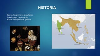 HISTORIA
Egipto, los primeros avicultores
Los etruscos y sus granjas
Roma, un imperio de gallinas
 