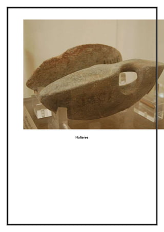 Halteres
 