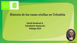 Historia de las razas criollas en Colombia 
David Sandoval A. 
Estudiante Zootecnia 
Málaga-2014 
 