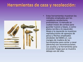 Herramientas de caza y recolección:Estas herramientas muestran los métodos empleados por los cazadores-recolectores prehistóricos. A menudo se usaban trozos de corteza para guardar nueces y bayas, o como platos (arriba a la izquierda). Abajo a la izquierda se muestran reproducciones de aparejos de pesca y flechas empleados alrededor del 8000 a.C. Los mangos de madera de las herramientas para cortar y cavar (derecha) son reconstrucciones. Las azuelas y la herramienta para encender fuego que se muestra debajo son de sílex.