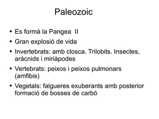 Paleozoic Es formà la Pangea  II Gran explosió de vida Invertebrats: amb closca. Trilobits. Insectes, aràcnids i miriàpodes Vertebrats: peixos i peixos pulmonars (amfibis) Vegetals: falgueres exuberants amb posterior formació de bosses de carbó 