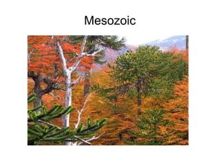 Mesozoic 