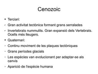 Cenozoic Terciari:  Gran activitat tectònica formant grans serralades Invertebrats nummulits. Gran expansió dels Vertebrats. Ocells més lleugers. Quaternari: Continu moviment de les plaques tectòniques Grans períodes glacials Les espècies van evolucionant per adaptar-se als canvis Aparició de l'espècie humana 