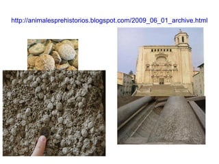 http://animalesprehistorios.blogspot.com/2009_06_01_archive.html 